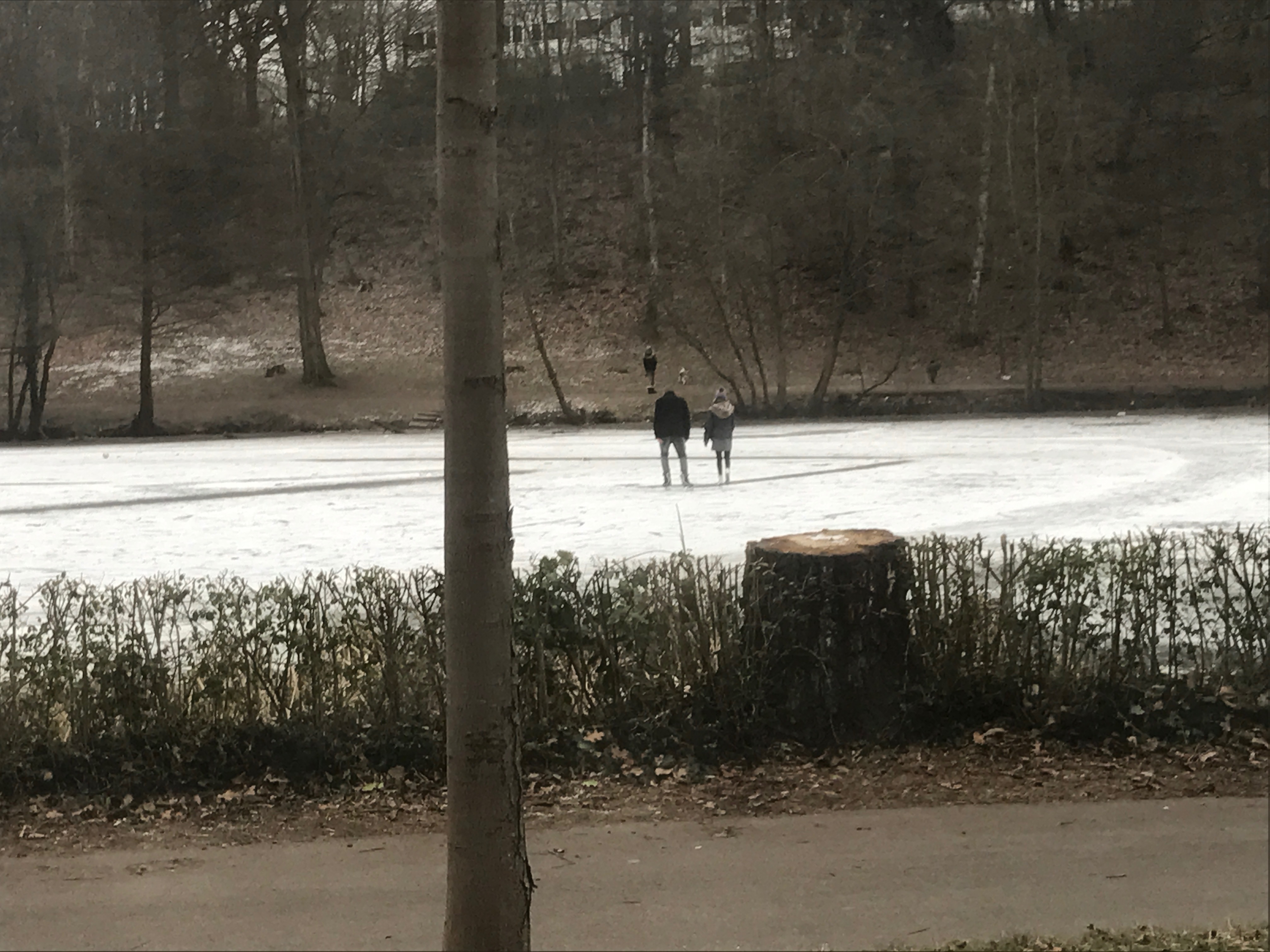 frozen lake